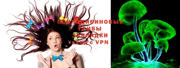 мдпв Белокуриха