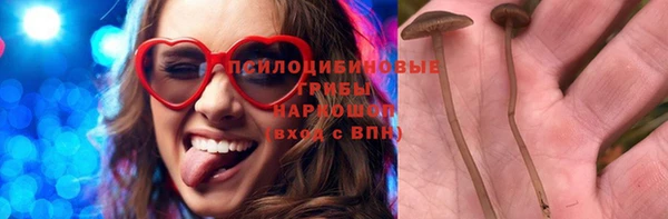 мдпв Белокуриха