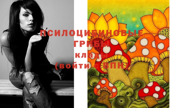 стафф Беломорск