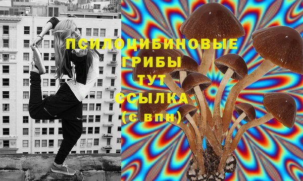 стафф Беломорск